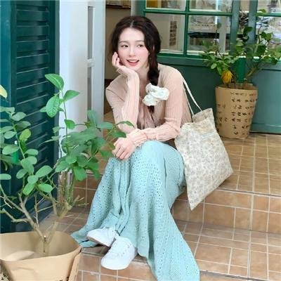 我爸爸的小飞龙