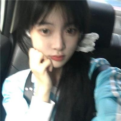 猪猪侠大电影·恐龙日记